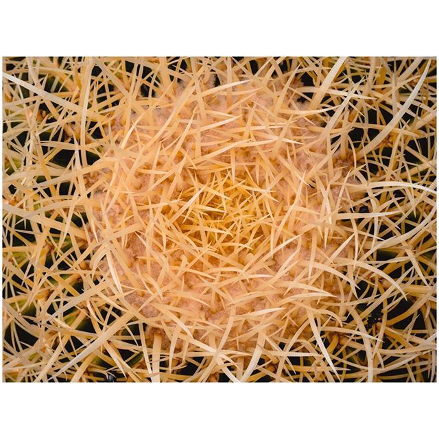 oh my god twitter doesn’t include alt text from images in their API