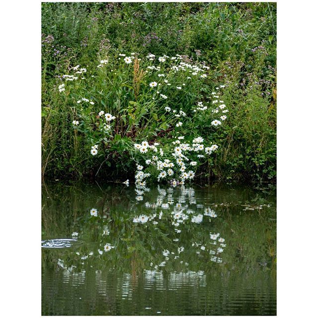 oh my god twitter doesn’t include alt text from images in their API