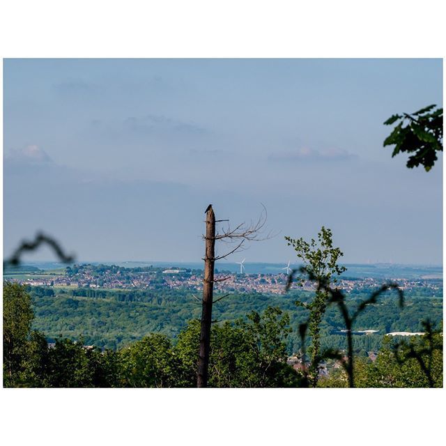 oh my god twitter doesn’t include alt text from images in their API