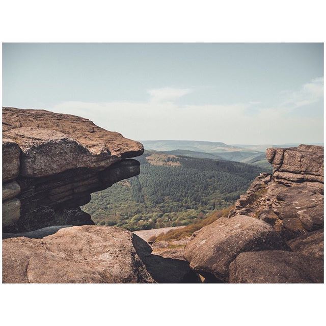 oh my god twitter doesn’t include alt text from images in their API