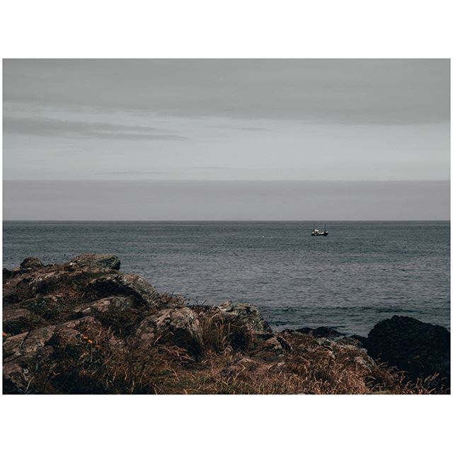 oh my god twitter doesn’t include alt text from images in their API