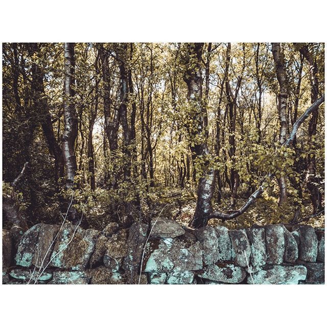 oh my god twitter doesn’t include alt text from images in their API