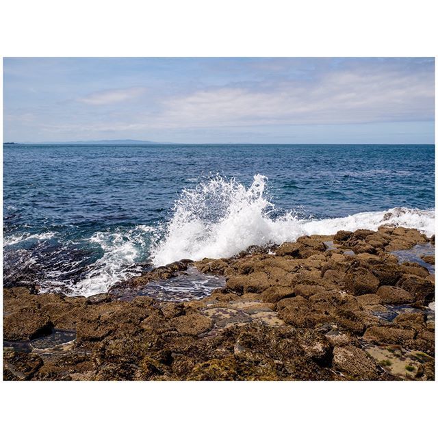 oh my god twitter doesn’t include alt text from images in their API