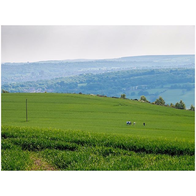 oh my god twitter doesn’t include alt text from images in their API