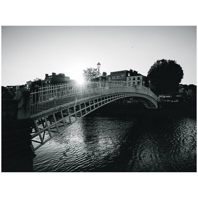 oh my god twitter doesn’t include alt text from images in their API