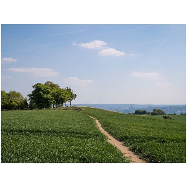 oh my god twitter doesn’t include alt text from images in their API