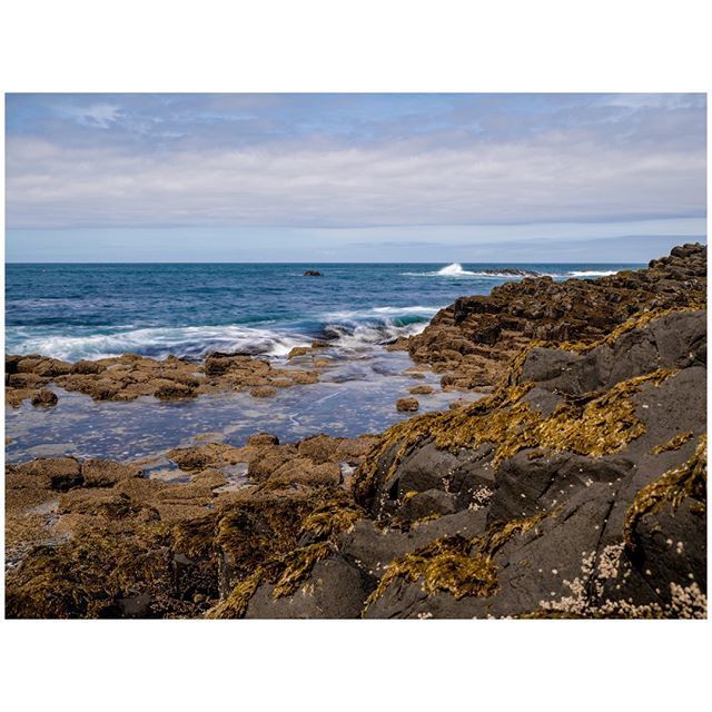 oh my god twitter doesn’t include alt text from images in their API