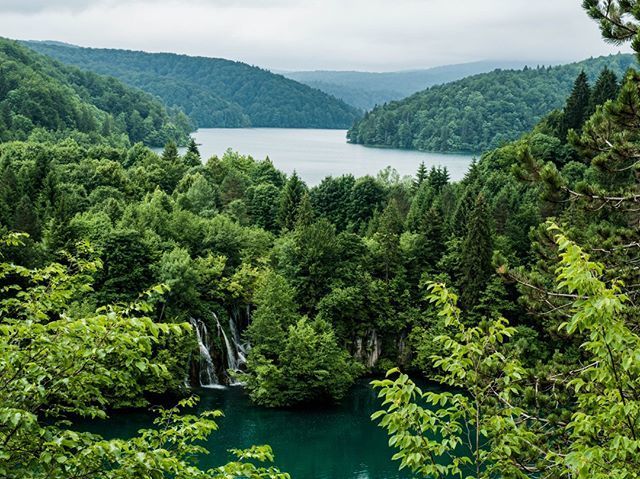 oh my god twitter doesn’t include alt text from images in their API