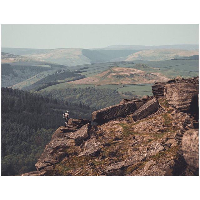 oh my god twitter doesn’t include alt text from images in their API