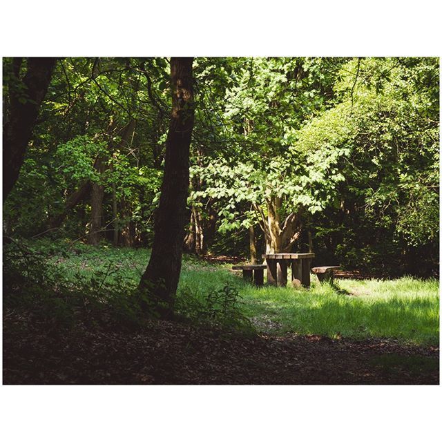 oh my god twitter doesn’t include alt text from images in their API