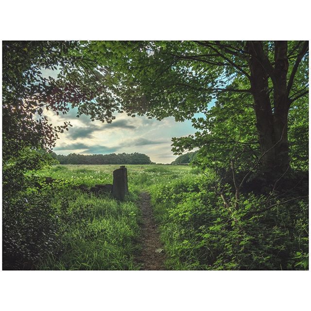 oh my god twitter doesn’t include alt text from images in their API