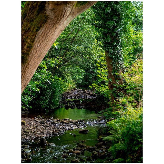 oh my god twitter doesn’t include alt text from images in their API