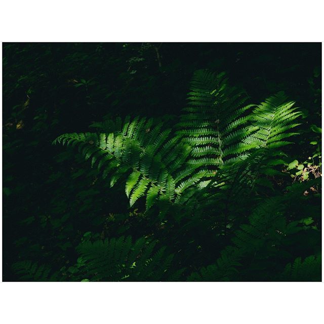 oh my god twitter doesn’t include alt text from images in their API