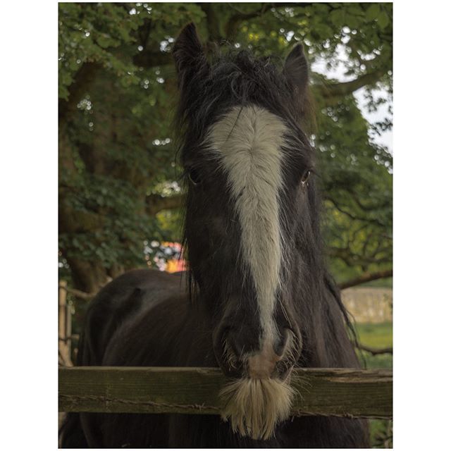 oh my god twitter doesn’t include alt text from images in their API