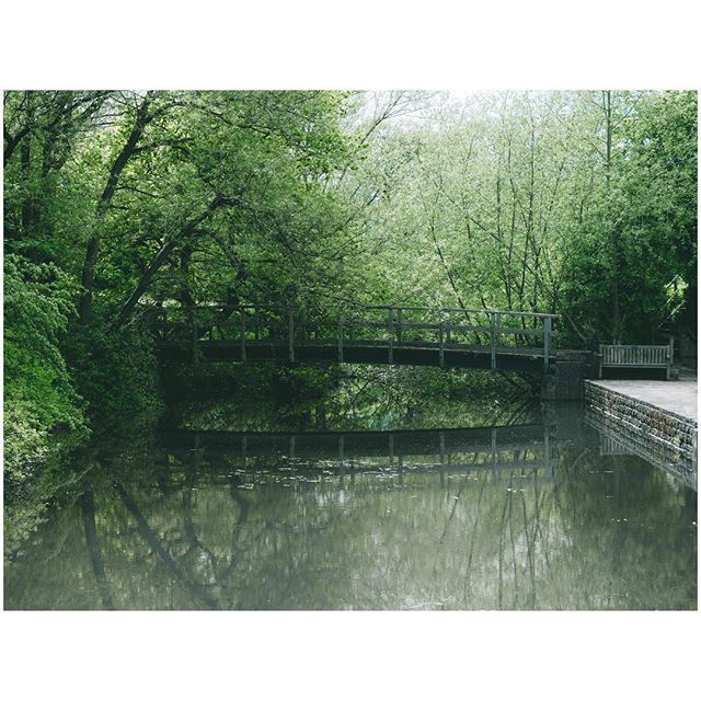 oh my god twitter doesn’t include alt text from images in their API