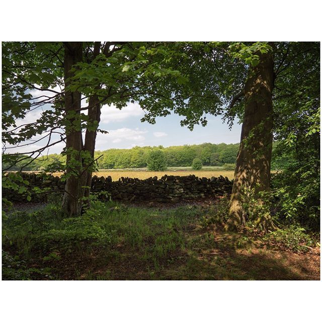 oh my god twitter doesn’t include alt text from images in their API