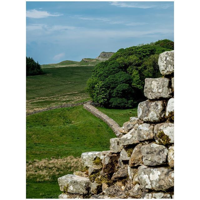 oh my god twitter doesn’t include alt text from images in their API