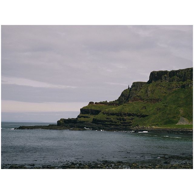 oh my god twitter doesn’t include alt text from images in their API