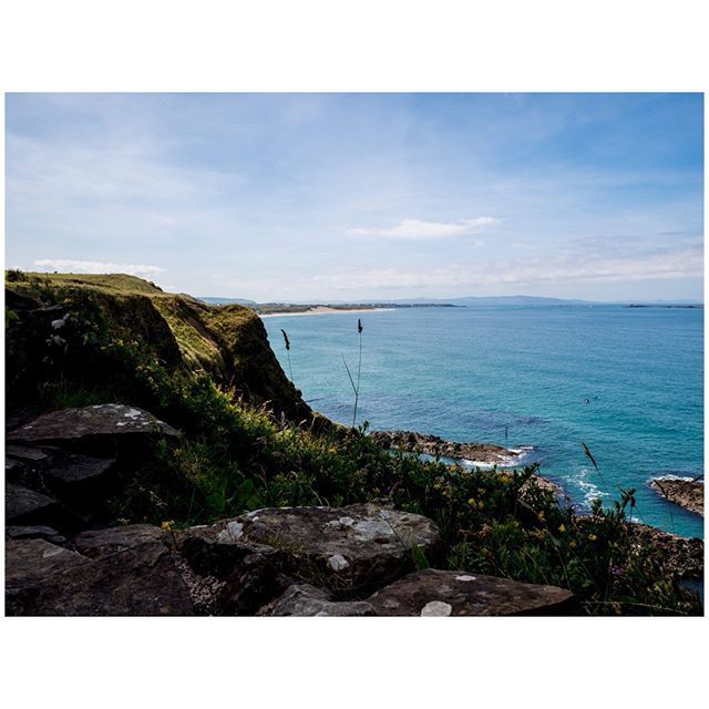 oh my god twitter doesn’t include alt text from images in their API