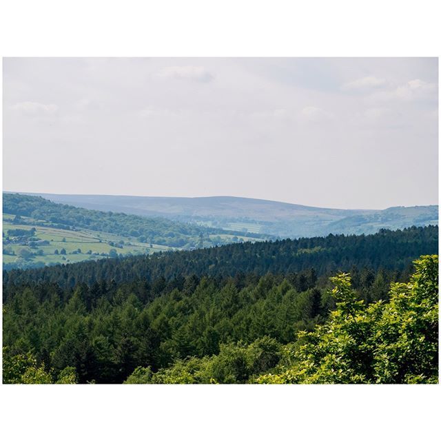 oh my god twitter doesn’t include alt text from images in their API